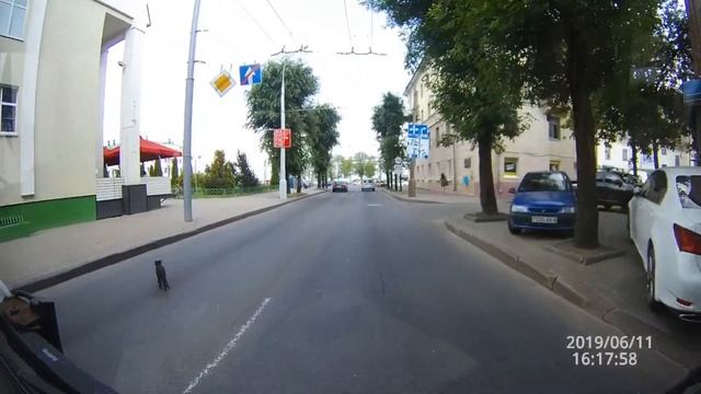 Чёрный кот перешёл дорогу - не повезёт? )) black cat смотреть онлайн