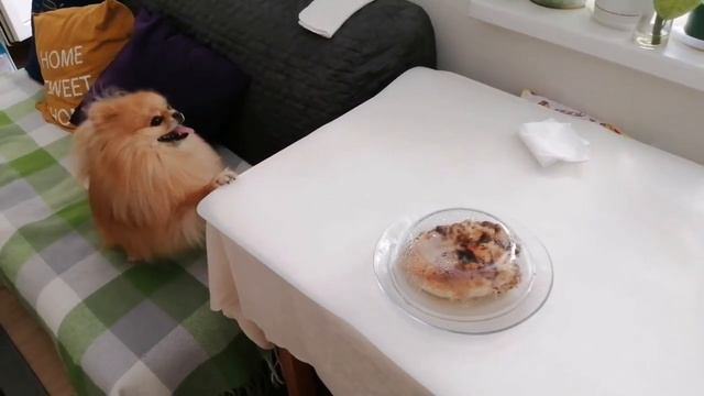 Курочка часть 2/Бруно любит курицу/Обжора смотреть онлайн