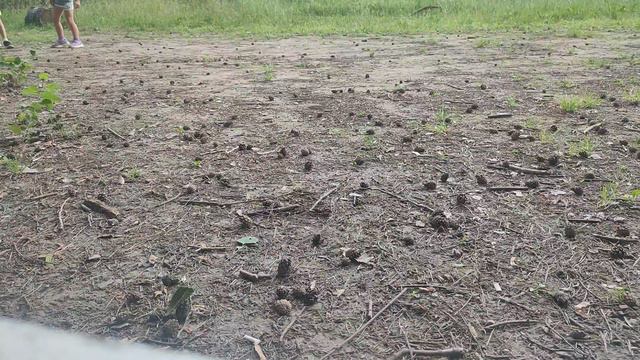 29.06.24 2ой год Ежедневных тренировок с мячом смотреть онлайн
