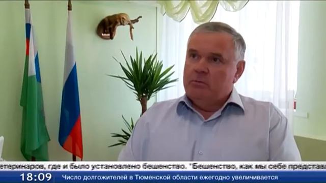 Внимание, бешенство! В Тюмени на 4 улицах ввели карантин смотреть онлайн