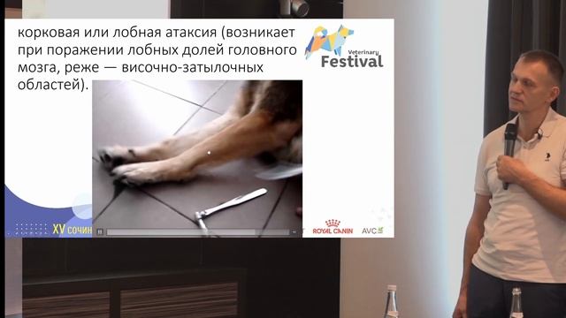 Нарушение походки при поражении верхнего двигательного нейрона. смотреть онлайн