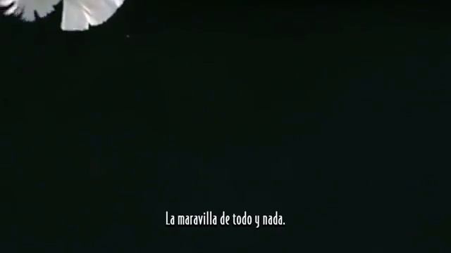 William Vivanco - Sola. Dir. Karoll William смотреть онлайн