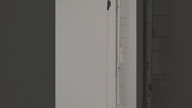 субару тащит смотреть онлайн