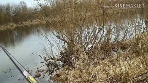 Рыбалка в Беларуси на БОКОВОЙ КИВОК весной  / ловля на боковой кивок видео / летняя мормышка