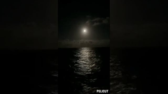 Лунная саната/шум океана/Классическая музыка/60 минут релекса смотреть онлайн