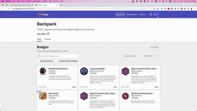Badgr LTI Tool Installation: Canvas смотреть онлайн