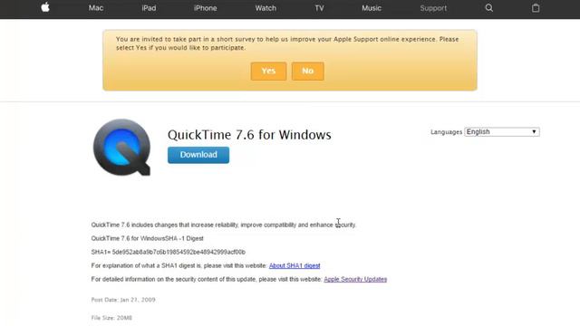 How To Solve Sony Vegas QuickTime Error On Windows 10