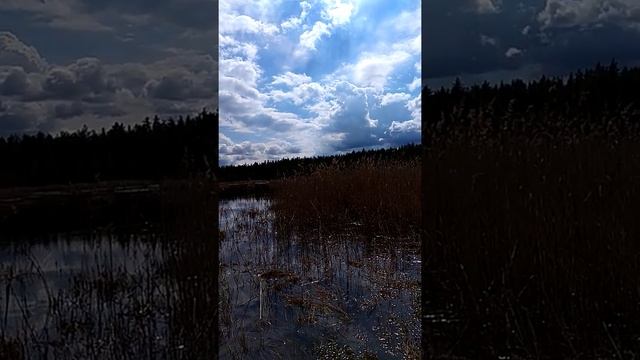 Озера за домом. Идём ставить сети на карася смотреть онлайн