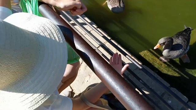 В гости с пустыми руками не ходят! смотреть онлайн