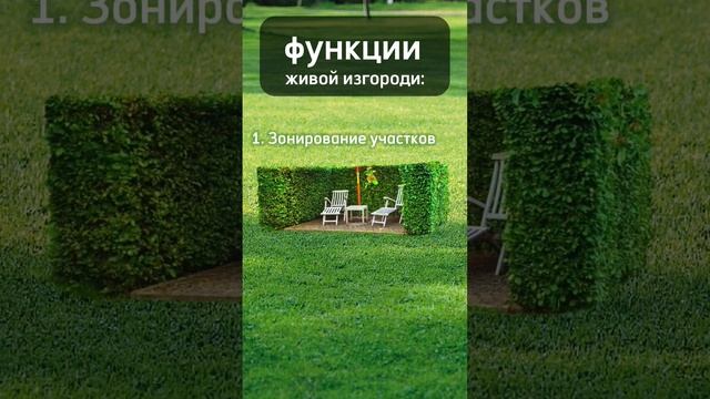 Говорим просто о ландшафтном дизайне. Живые изгороди.Часть 2 смотреть онлайн