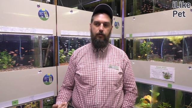 Уход за рыбкой астронотус смотреть онлайн