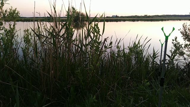 Рыбалочка! Ловля карася на фидер! смотреть онлайн