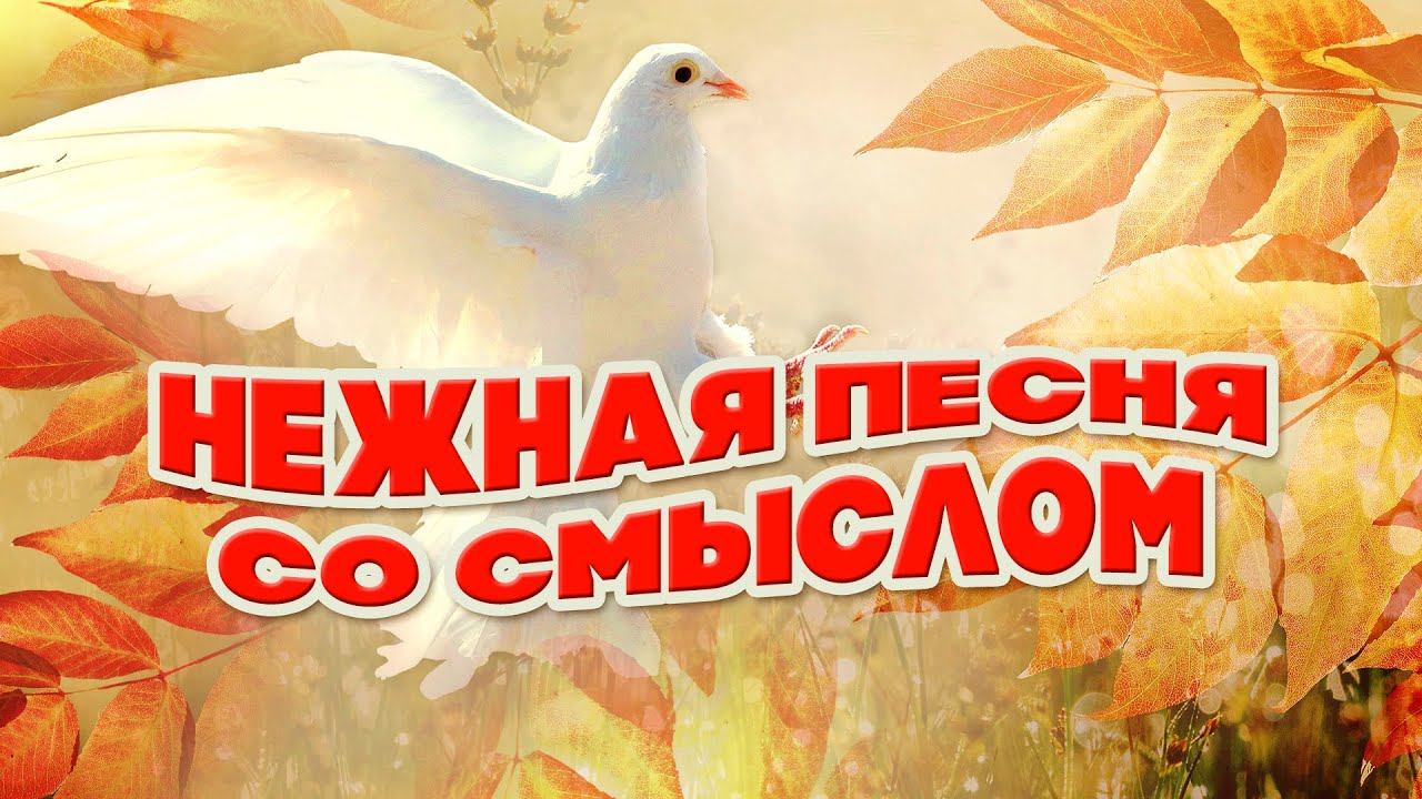 НЕЖНАЯ ПЕСНЯ СО СМЫСЛОМ | Наталья Лакова - Голуби мира (Песня 2023) #русскаямузыка смотреть онлайн