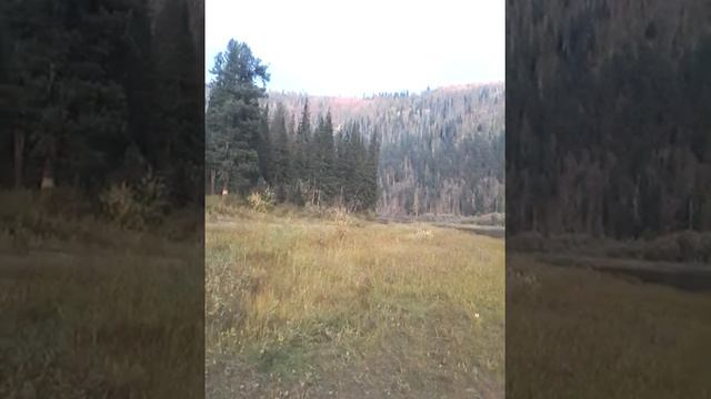 Рыбалка Сухой-Пит ловим Ленка)))) смотреть онлайн
