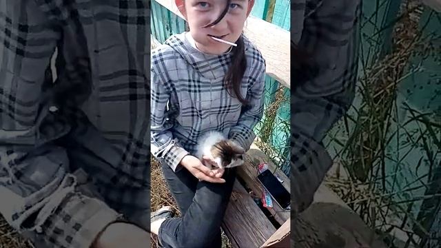 Из села Будалан помогите котёнку смотреть онлайн