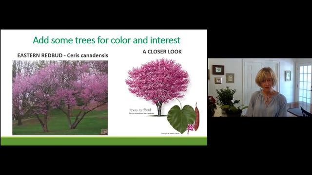 "Gardening in the Shade" presented by Carole MacMullan, North Fulton Master Gardener смотреть онлайн