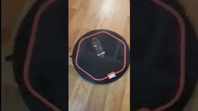 Кожаные убл#дки)) смотреть онлайн