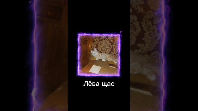 леве 28 августа будет 5 месяцев ❤️❤️ смотреть онлайн