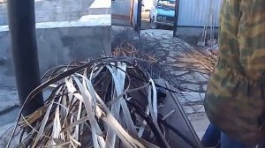 как заготовить лыко для лаптей