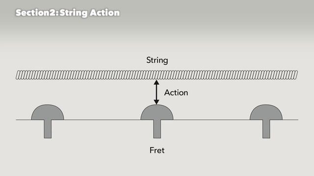 Edge Series Tremolo Bridge Maintenance Guide