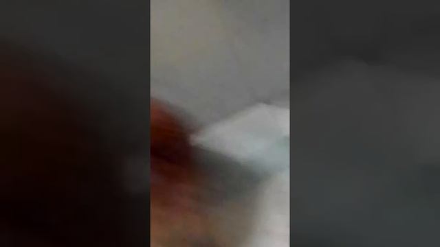 Наглые коты смотреть онлайн