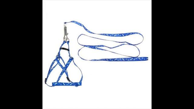 Диеты и правильное питание