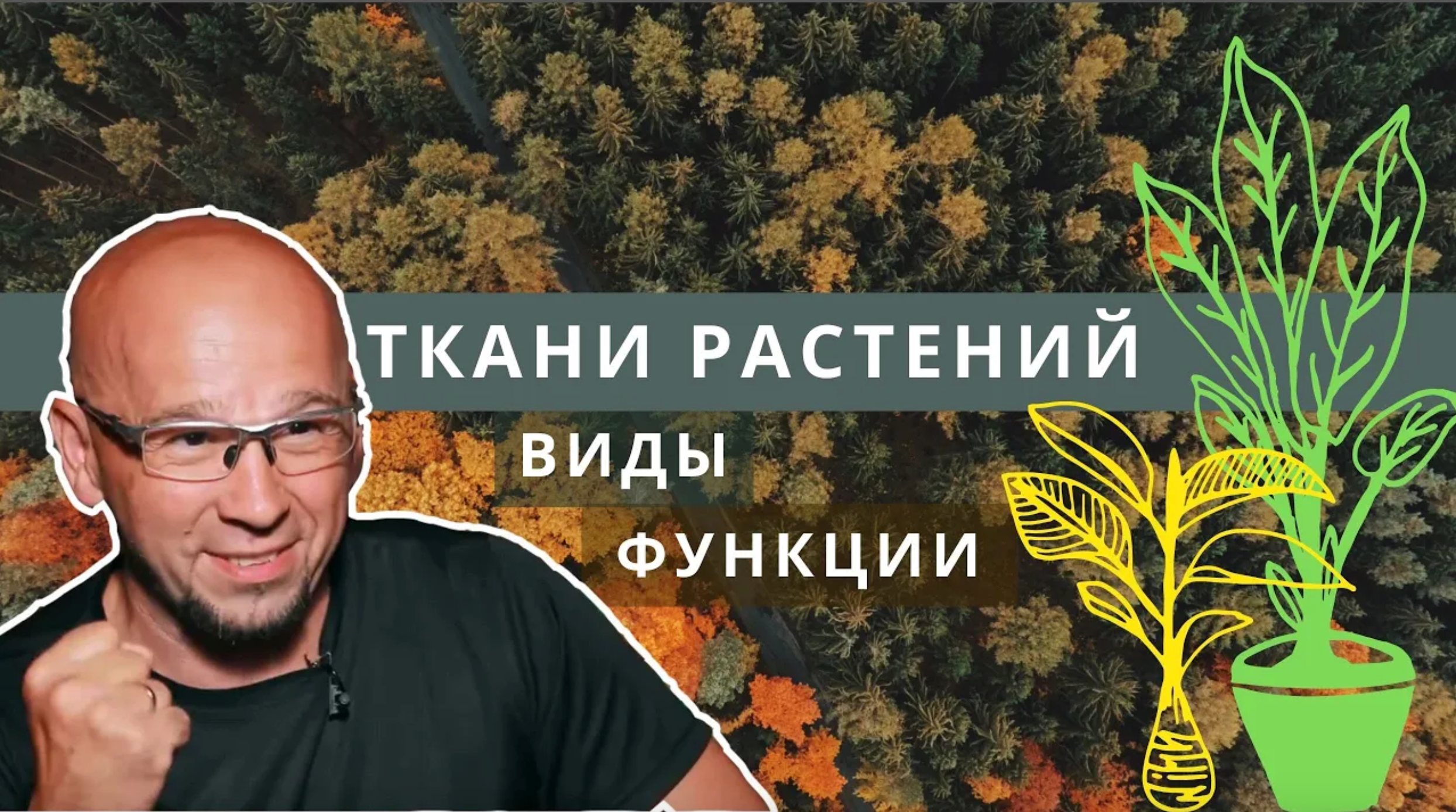Ткани растений. Биология 6 класс. Функции. Виды тканей_ проводящая, покровная, образовательная. ЕГЭ смотреть онлайн