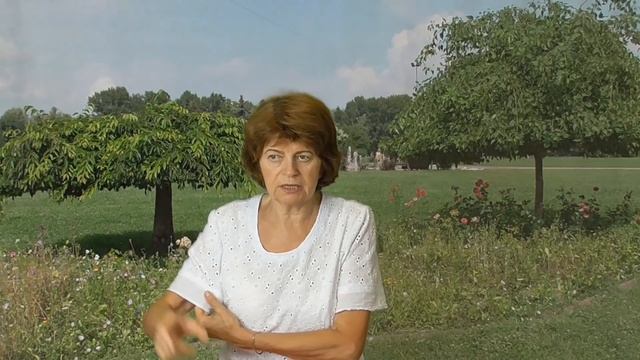 Пенсия. Маленькая пенсия. смотреть онлайн