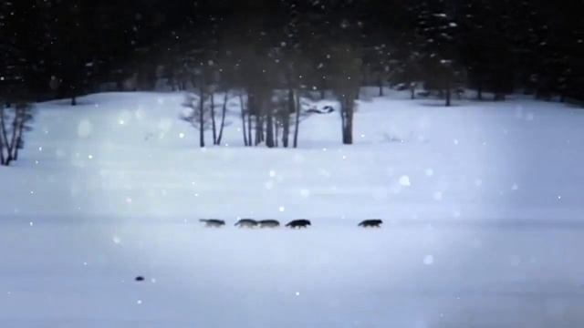 ПЕРЕВАЛ ДЯТЛОВА - Тайна перевала Дятлова смотреть онлайн