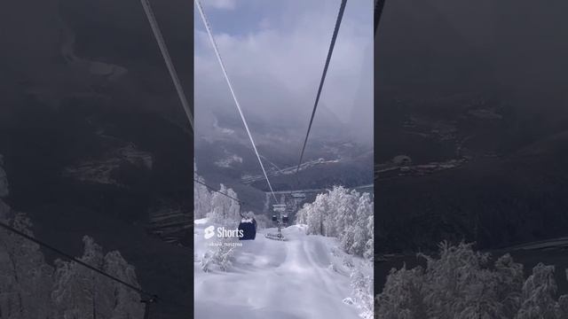 Красная поляна ❤️