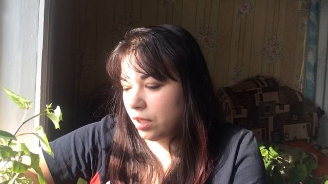 Батат (сладкая картошка)-Корень долголетия-чудо овощ. Деревенские Будни с Марианой и Михаилом смотреть онлайн