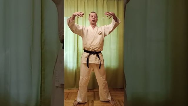 Айкидо, средняя группа, тренировка 5 смотреть онлайн