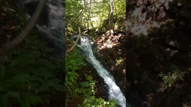 Водопад "Берендей" - памятник Природы г.Партизанск, Приморский край. 17/08/2020 смотреть онлайн