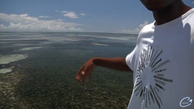 Kenia 2013 -Diani Beach STARS;) (cooles video ;)) смотреть онлайн
