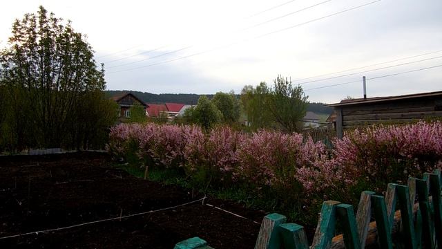 Помощь пчеловоду. смотреть онлайн