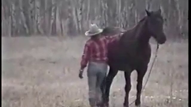 Parelli Natural Horsemanship Lvl 3 Online Erin and Sambo 0 0002 смотреть онлайн