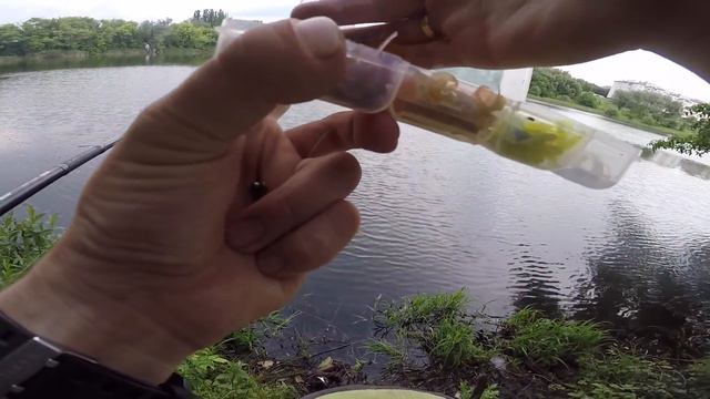 Major Craft N One.  Первые впечатления