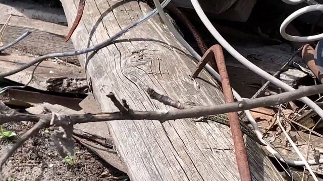 ВЛОГ/ ЕЗДИЛИ НА ДАЧУ/ПОКУПКИ В ЛЕНТЕ/ 05.05.2021 г