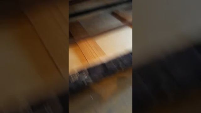 СЭС-СЕРВИС Уничтожение тараканов г. Череповец смотреть онлайн