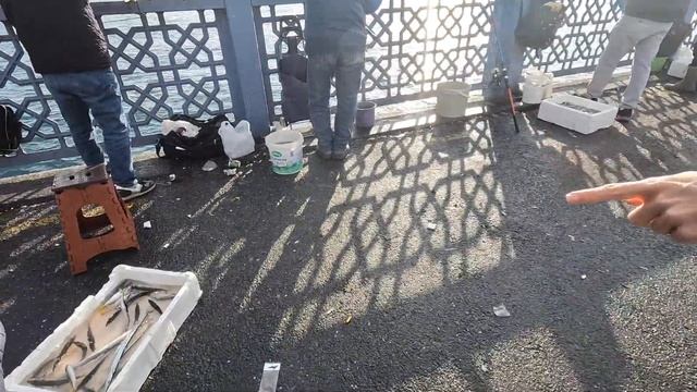Два дня в Стамбуле в декабре 2022 смотреть онлайн
