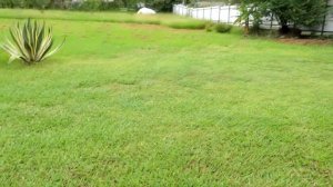 Абхазия Лдзаа, идеальное море и гостевой дом