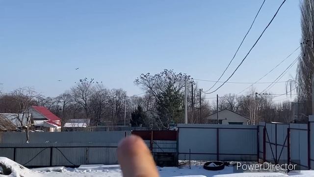 ЭТО НЕВЫГОДНО!!! Я ВАС УВЕРЯЮ смотреть онлайн