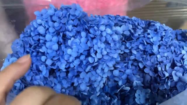 Гортензия от 20г (ОПТом) смотреть онлайн