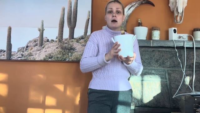 PLACING AMARYLLIS INTO DORMANCY SO THEY REBLOOM FOR CHRISTMAS🌸🪴🙌 смотреть онлайн