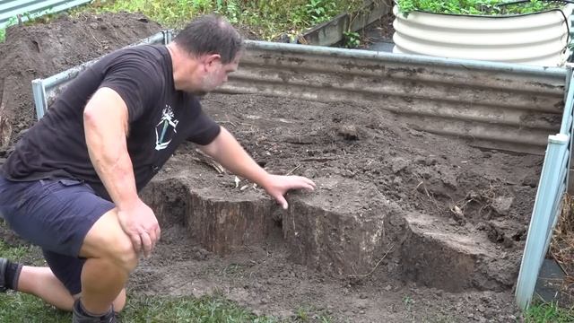 What Happens When You Bury Logs in the Veggie Garden Raised Bed? смотреть онлайн