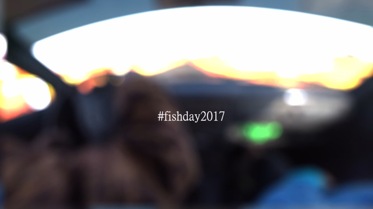 Fish day 2017 смотреть онлайн