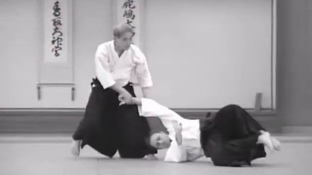 Nishio Aikido Ryu - Ryotedorikimenage смотреть онлайн