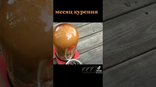 Что происходит с нашими лёгкими после месяца курения??