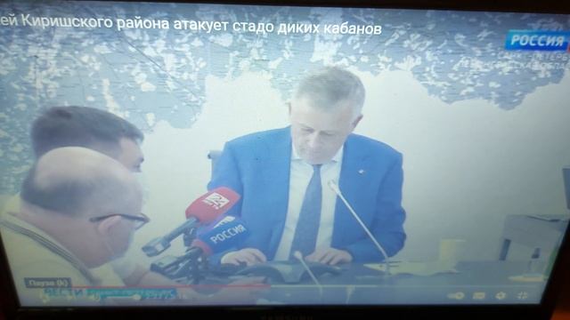 ШОК ! "НАС АТАКУЮТ КАБАНЫ "/СЮЖЕТ ПРО НАШИХ ДАЧНЫХ КАБАНОВ / КИРИШИ - ЛЕН.ОБЛАСТЬ?♀️ смотреть онлайн