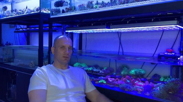 «Рифовый Аквариум» Освещение. Часть 8 смотреть онлайн